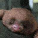 Sleepy Slothy emoji