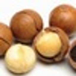 Macadamia emoji
