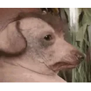Creature emoji
