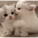 Kittylove emoji
