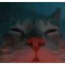 Its4amim12shotsdeepishouldafkwaterbutthemusicisblastingthevibesarecrazyimgoingcrazyiampartyincarnate emoji