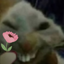 Xddflower emoji