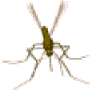 Mosquito emoji