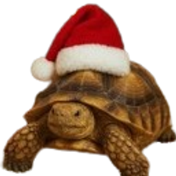Santa Tortoise emoji