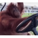 Monkesteer emoji
