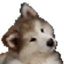Dog Cute emoji