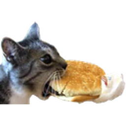 Icanhazcheeseburger emoji