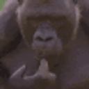 Apehmm emoji
