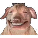 Creaturevibe emoji