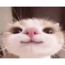 ) emoji