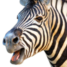 Zebruh emoji