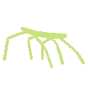 Spider Crawling Slow emoji