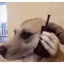 Dogphone emoji