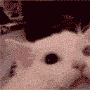Cat Nuke emoji
