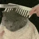 Yooothiscatgettingacut emoji