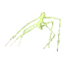 Stickbug emoji