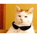 Catwicked emoji