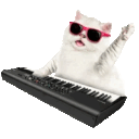 Cat Keyboards emoji