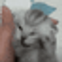 Cat Voice emoji