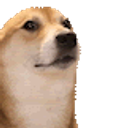 Workdog emoji
