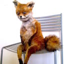 Stonedfox emoji