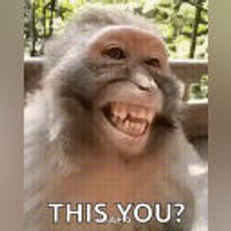 Monkey This You emoji