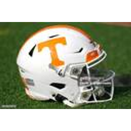 Govols emoji