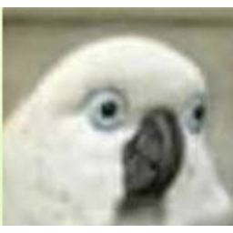 Birbuhm emoji