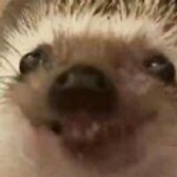 Hedgecute emoji
