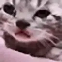 Sadcat emoji