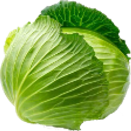 Cabbage emoji