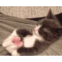 Stretch emoji