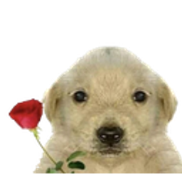 Hai Miss emoji