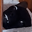 Mistik emoji