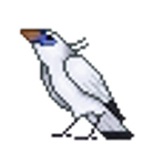 Bali Bird emoji