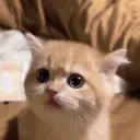 Y emoji