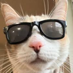 Koolcat emoji