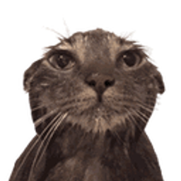 Catwet emoji