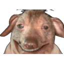 Creaturepretendingtobehappywhilesufferinginagonizingpain emoji
