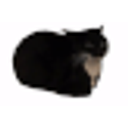 Maxwell emoji