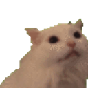 Cat Confused Wide Eyes emoji