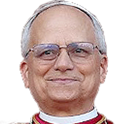 Pope Leo Xiv emoji