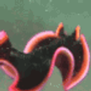 Flatworm Friday emoji