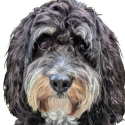 Cockapoo emoji