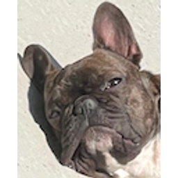 Dante Judge emoji