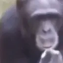 Smokingmonke emoji