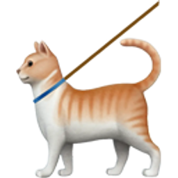 Cat Walking emoji
