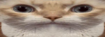 Uuhuu emoji