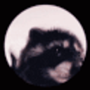 Pedro Pedro Raccoon emoji