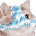 Pantycat emoji